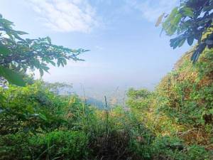 誠昱/南化烏山1分8農地