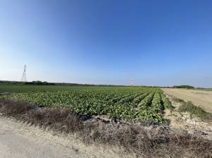 誠昱/安南區近學東國小農.