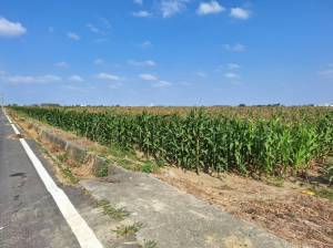 誠昱/鹽水孫厝寮500重.