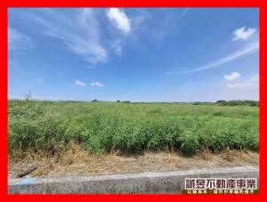 誠昱/七股濱海公路907.